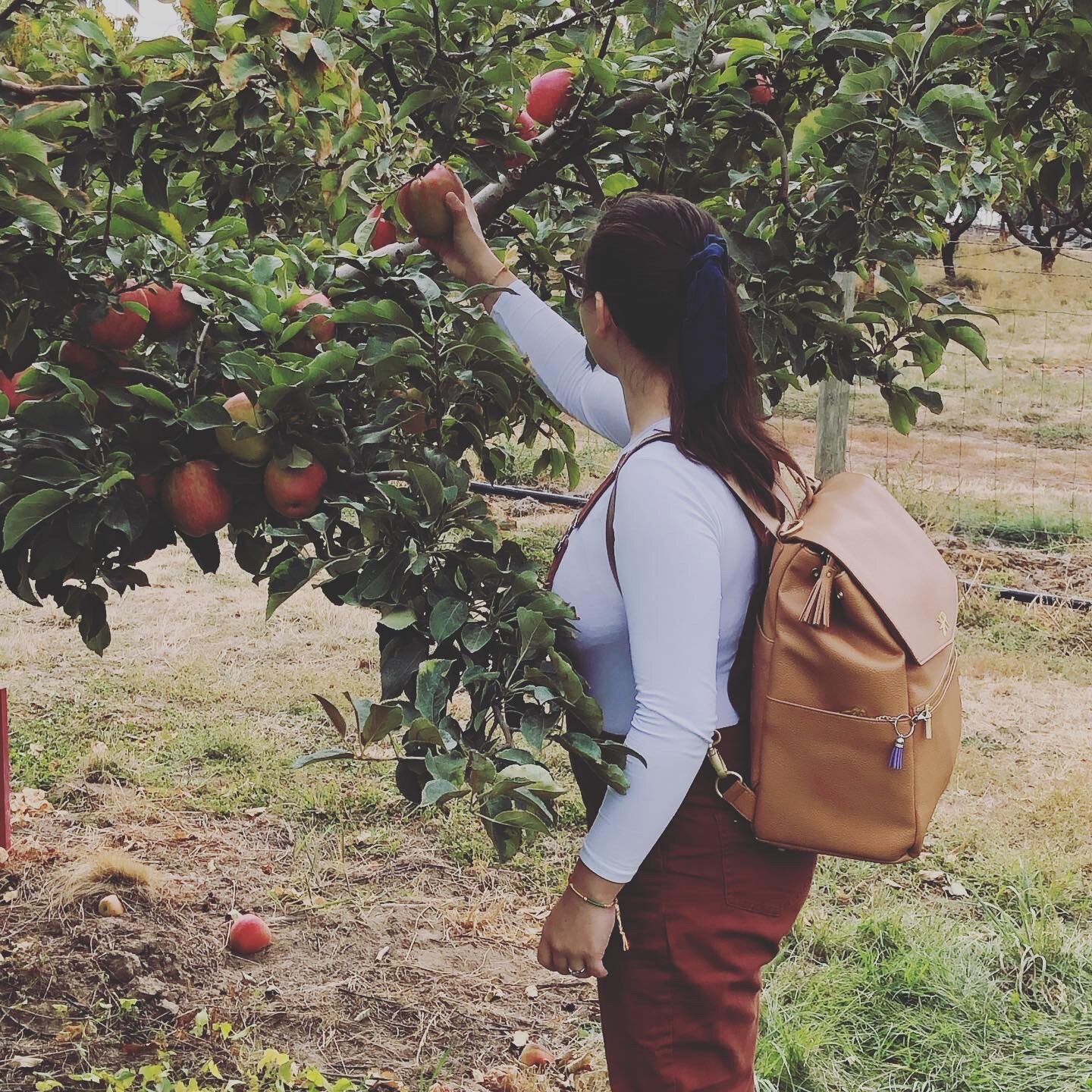 girls picking apple